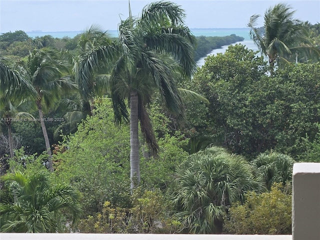 view of nature featuring a water view