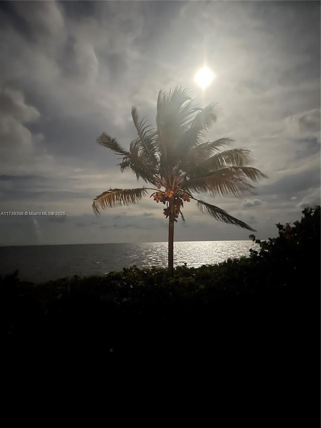 1121 Crandon Blvd Unit D404, Key Biscayne, FL 33149 - view of water feature