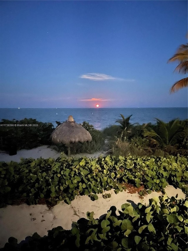 1121 Crandon Blvd Unit D404, Key Biscayne, FL 33149 - water view