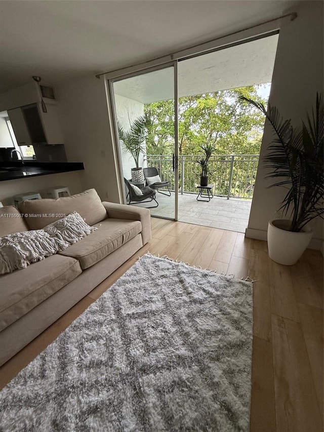 living room with a wall of windows and wood-type flooring