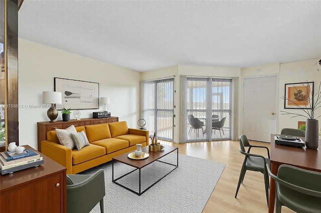 living room with a textured ceiling and light wood finished floors