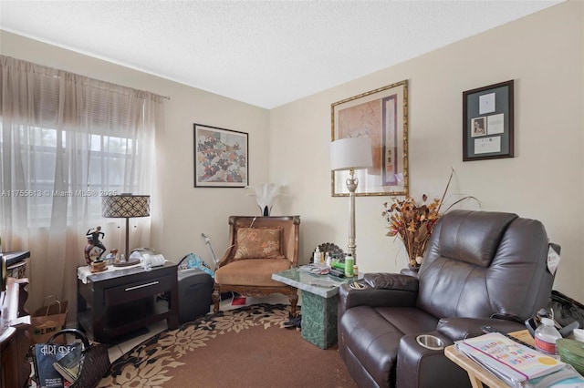 living area with carpet and a textured ceiling