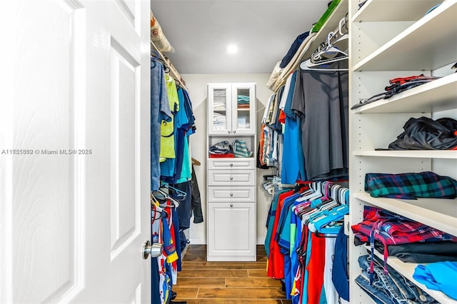 spacious closet featuring wood tiled floor