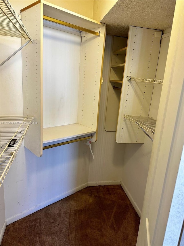 spacious closet featuring carpet floors