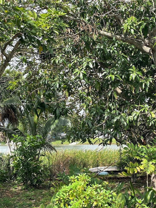 3611 SW 36th St, West Park, FL 33023 - view of local wilderness