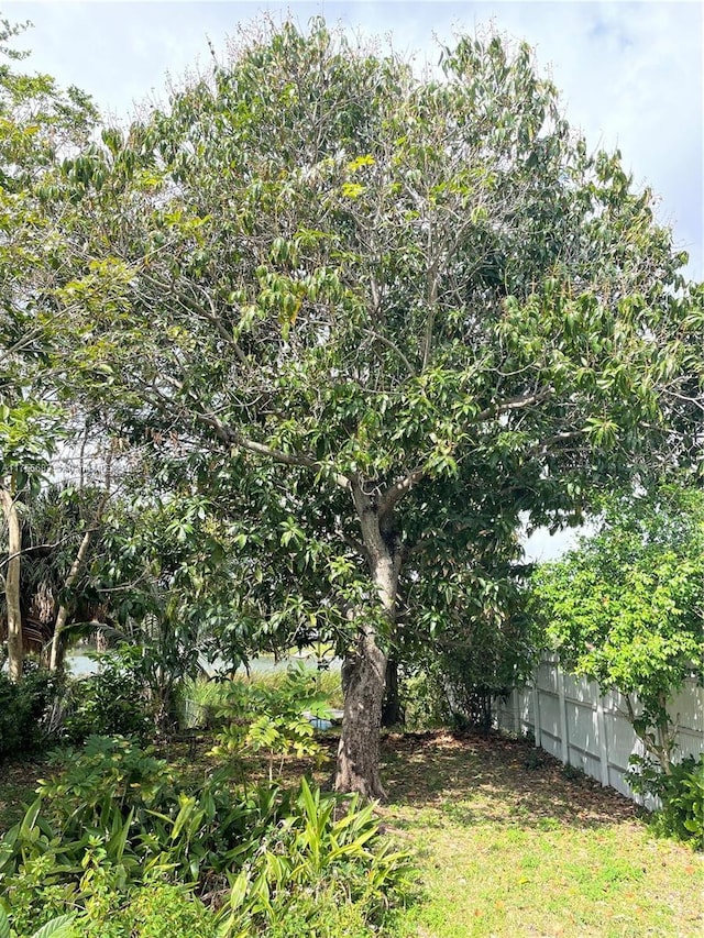 3611 SW 36th St, West Park, FL 33023 - view of yard
