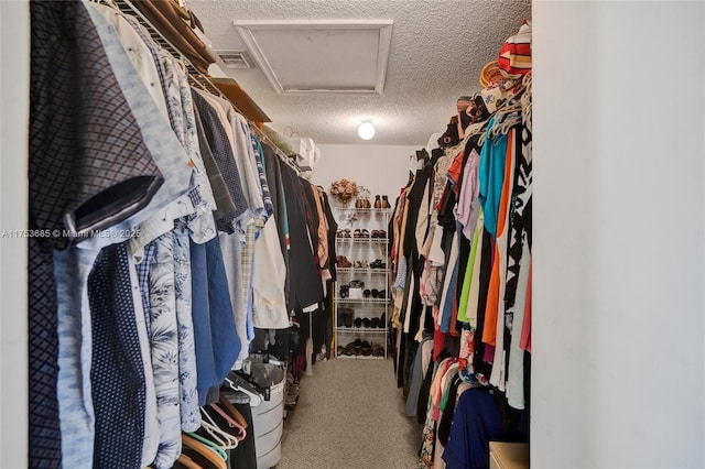 walk in closet with visible vents, carpet flooring, and attic access