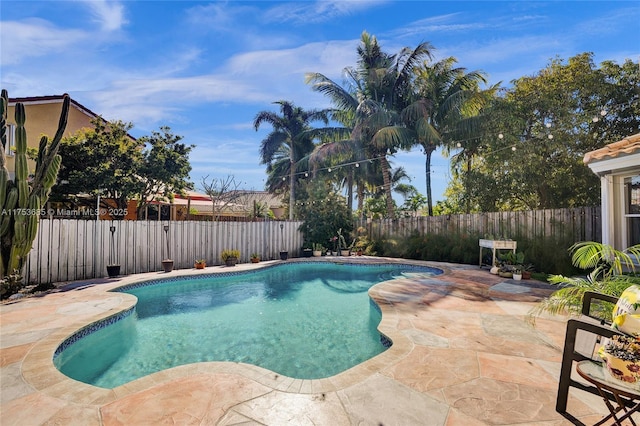 view of pool featuring a patio area, a fenced backyard, and a fenced in pool