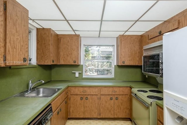 kitchen with white appliances, brown cabinetry, light countertops, a paneled ceiling, and a sink