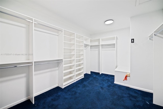 16408 Bridge End Rd, Miami Lakes, FL 33014 - walk in closet with carpet