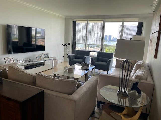 living room with baseboards, a city view, and crown molding