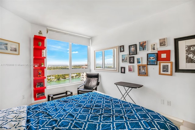 bedroom featuring a water view