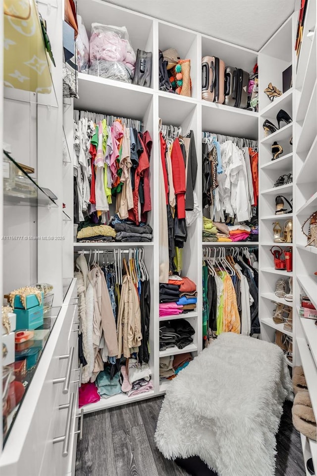 walk in closet featuring wood finished floors