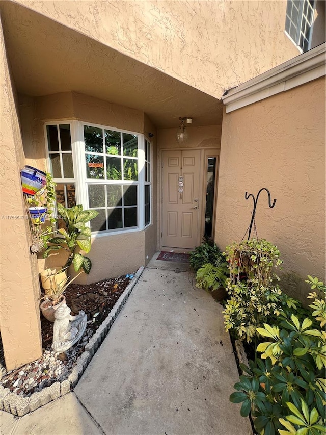 doorway to property with stucco siding