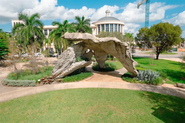 view of community featuring a lawn