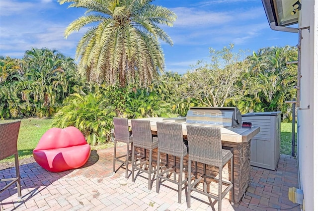 view of patio / terrace with an outdoor kitchen, grilling area, and outdoor wet bar