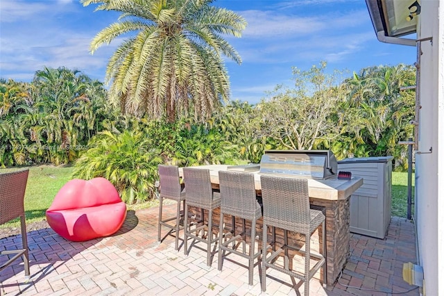 4455 Parkside Rd, Davie, FL 33328 - view of patio / terrace featuring area for grilling