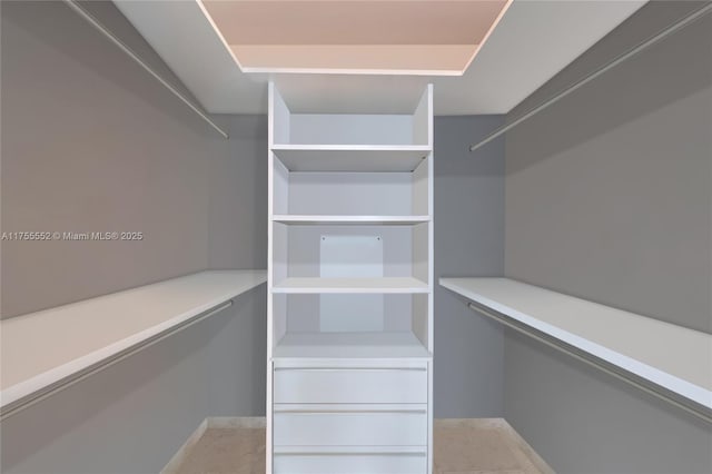 view of walk in closet