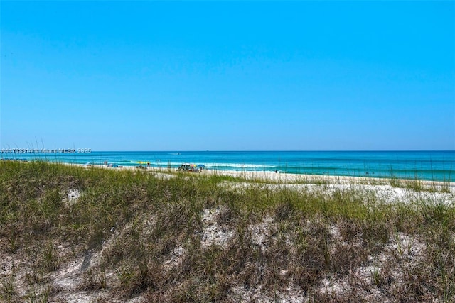 property view of water featuring a beach view