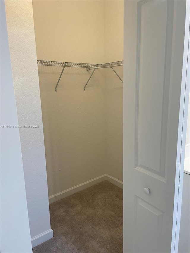 spacious closet featuring carpet floors