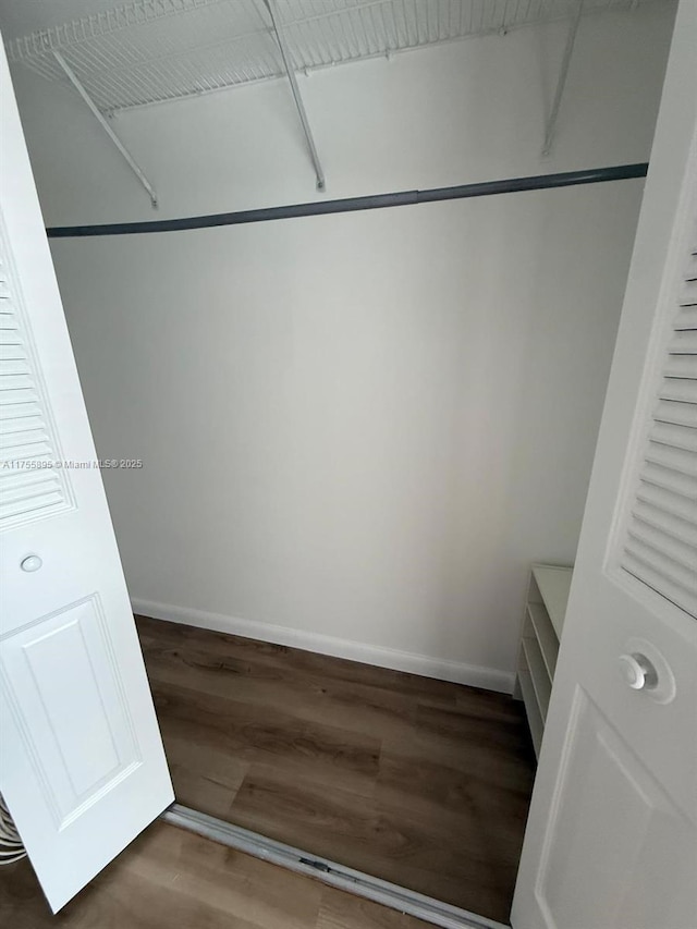 walk in closet featuring wood finished floors