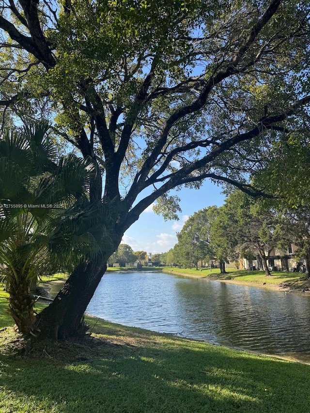 water view