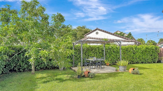 view of yard featuring a patio and a pergola