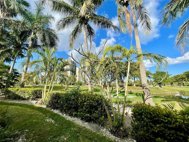 view of property's community featuring a yard