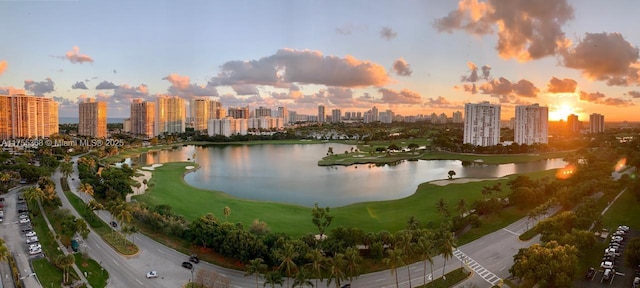 view of water feature featuring a city view