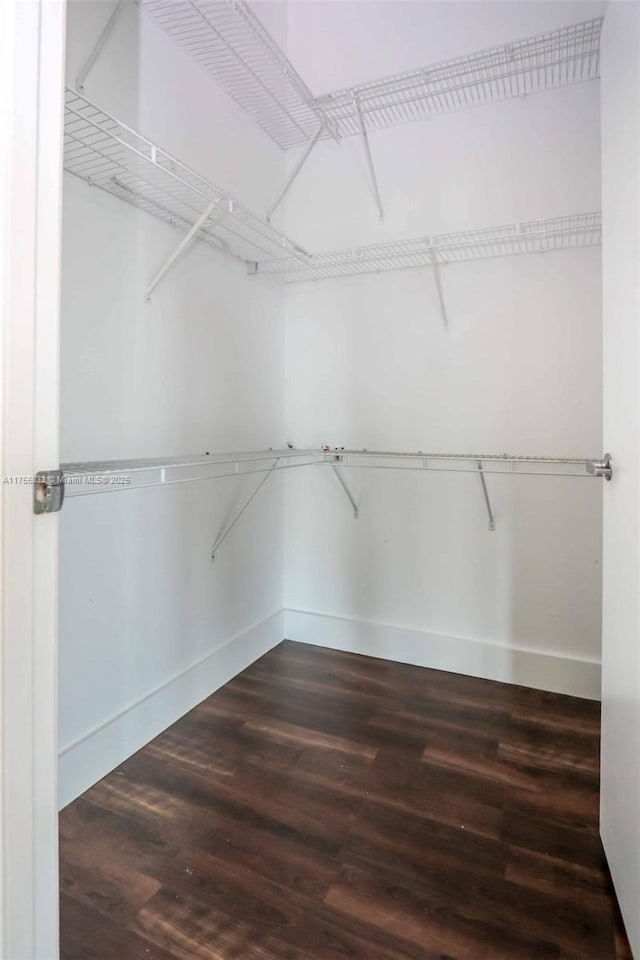 walk in closet featuring dark wood-type flooring