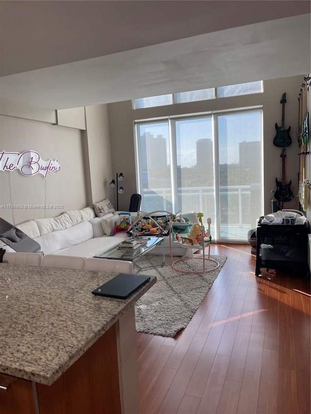 living room with a view of city, wood finished floors, and a wealth of natural light