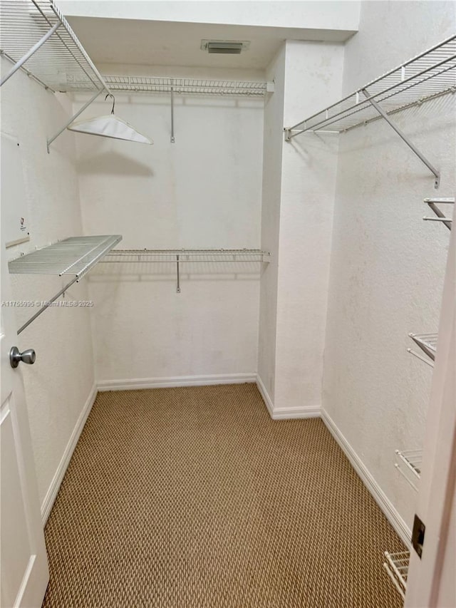 spacious closet with visible vents and carpet flooring