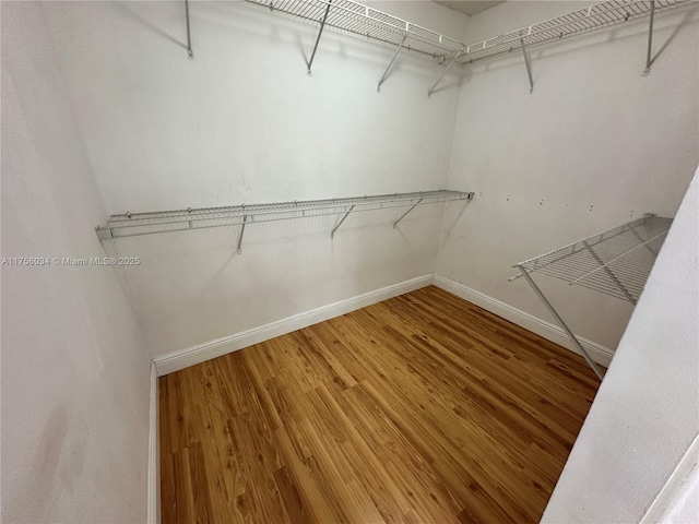 walk in closet with wood finished floors