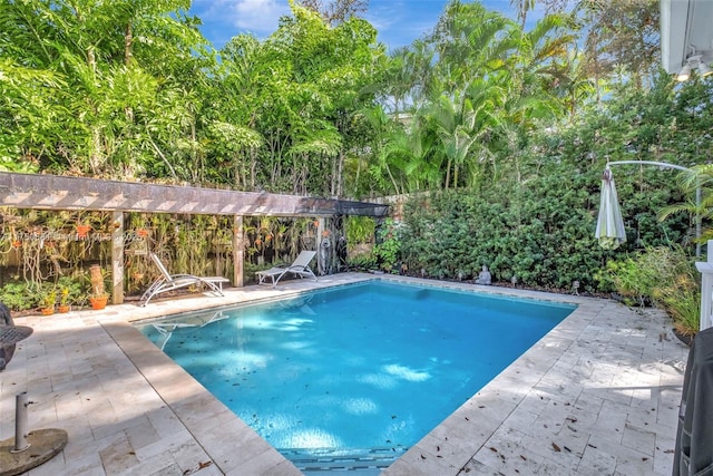 view of pool with a patio