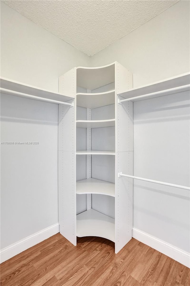 walk in closet featuring wood finished floors