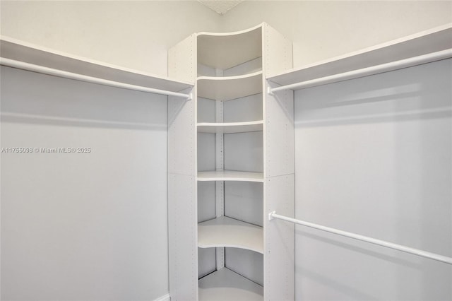 view of spacious closet