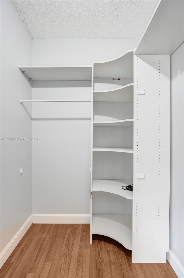 spacious closet featuring wood finished floors