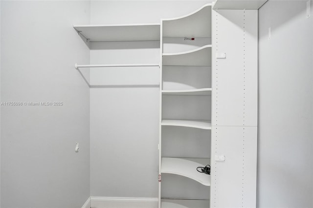 view of spacious closet