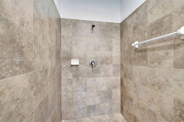 full bathroom with tiled shower