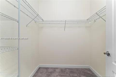 spacious closet with carpet