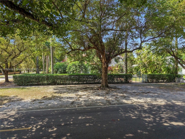 1624 Granada Blvd, Coral Gables, FL 33134 - view of yard