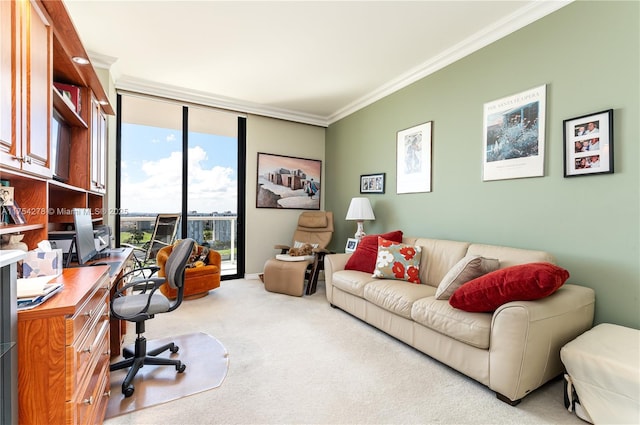 office featuring ornamental molding and carpet