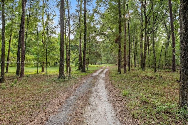 19474 NW 215th Ter, Gainesville, FL 32643 - photo 31