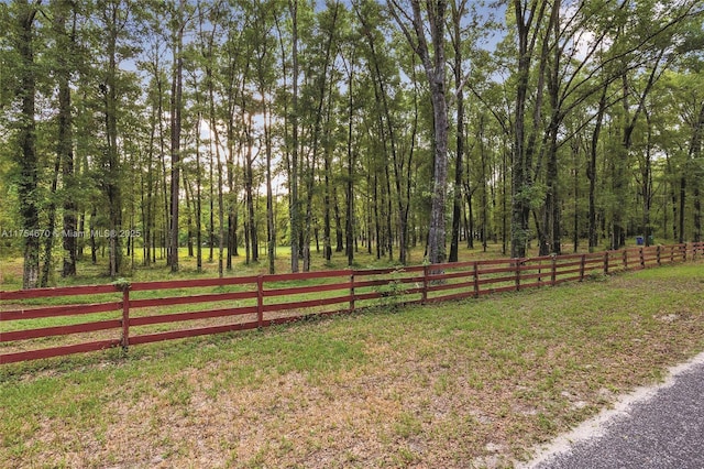 19474 NW 215th Ter, Gainesville, FL 32643 - photo 32