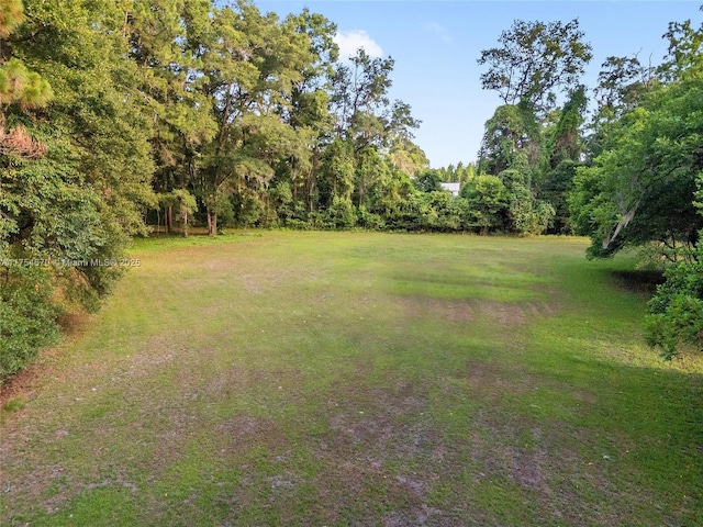 19474 NW 215th Ter, Gainesville, FL 32643 - photo 33