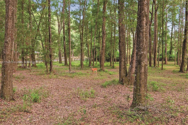 19474 NW 215th Ter, Gainesville, FL 32643 - photo 37