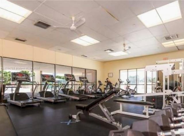 exercise room with a ceiling fan, a drop ceiling, and visible vents