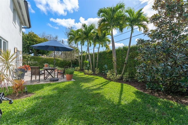 view of yard with a patio