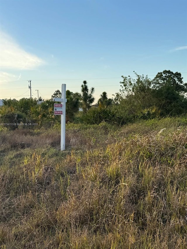 753 E Phelps St, Lehigh Acres FL, 33974 land for sale