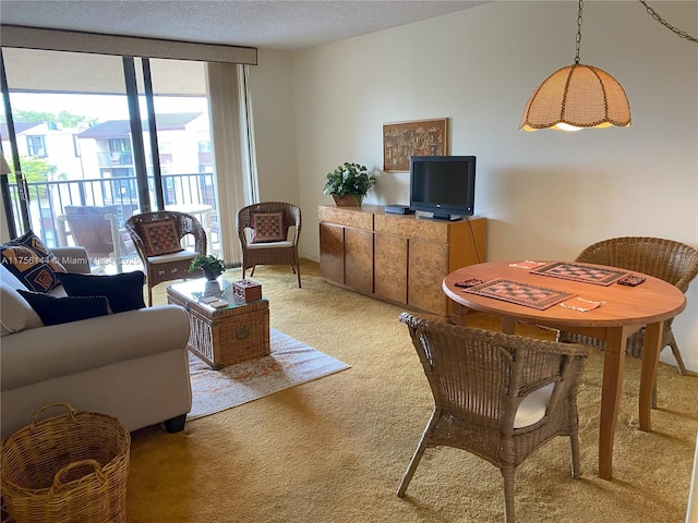 living area with a wall of windows, a textured ceiling, and light colored carpet